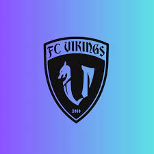 The Impact of Taipei Vikings FC on the Local Football Scene